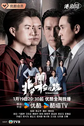 非常检控观国语版